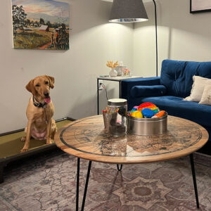 wildrose angel therapy dog